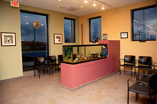 Animal Wellness Center Of Monee
