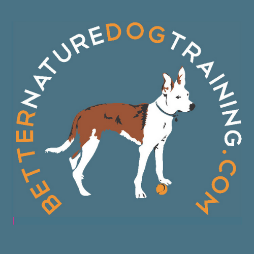 Better Nature Dog Training — dog trainer in San Francisco, CA