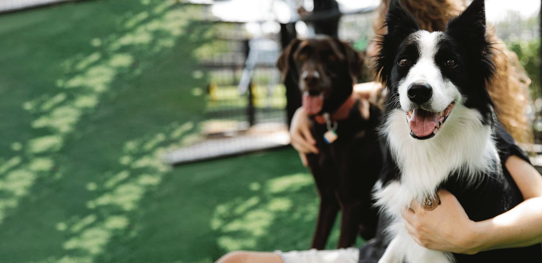 Pet HelpMate — dog trainer in Thousand Oaks, CA