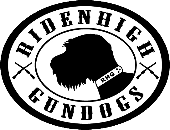 RidenHigh GunDogs logo