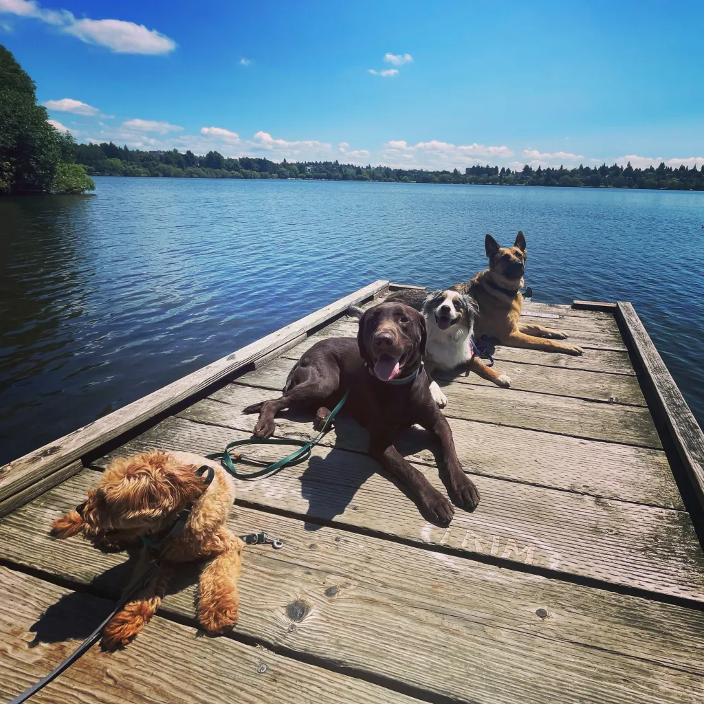 Nirvana K9 Training, LLC