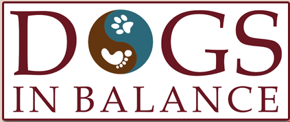 Dogs in Balance logo