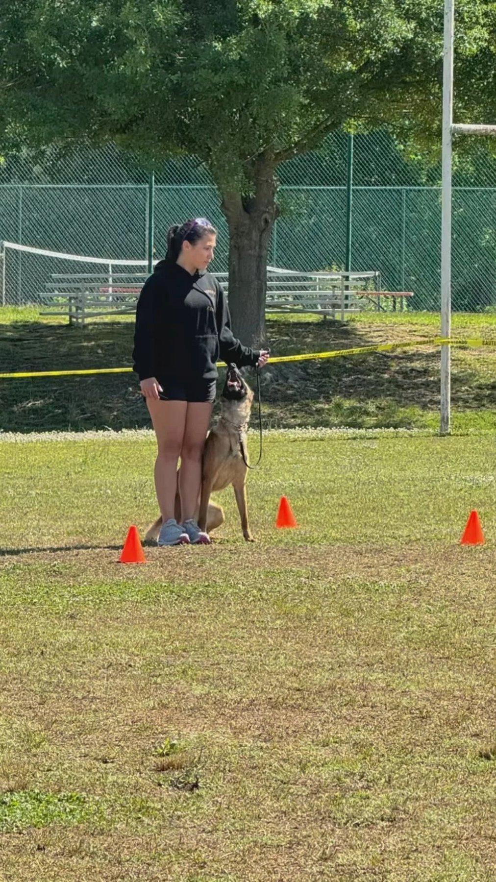 Layin Down The Paw — dog trainer in Toms River, NJ