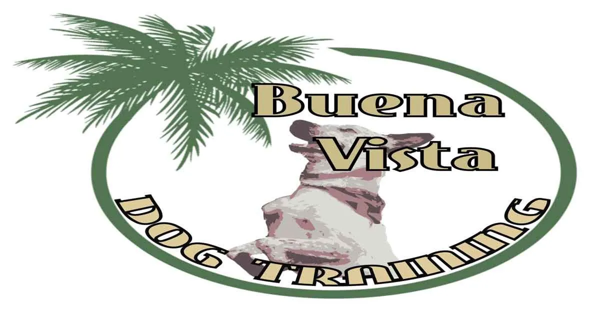 Buena Vista Dog Training