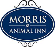 Morris Animal Inn at Warren logo