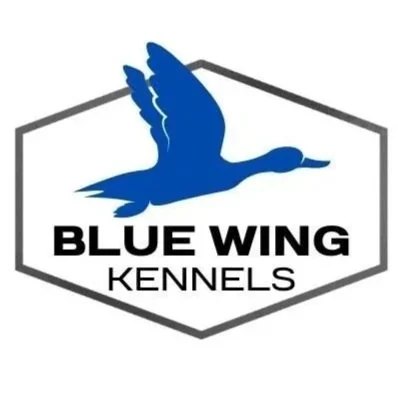 Blue Wing Kennels, LLC — dog trainer in Bastrop, TX