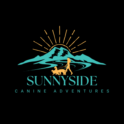 Sunnyside Canine Adventures