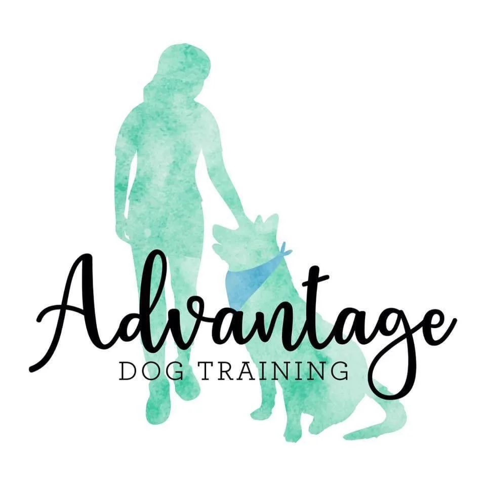 Advantage Dog Training