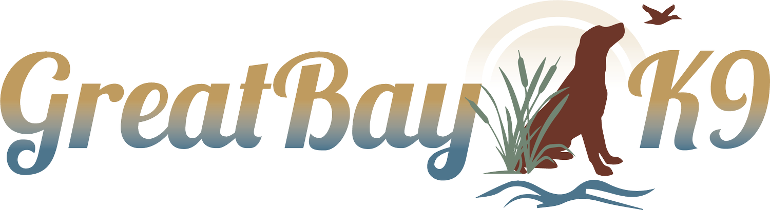Great Bay K9