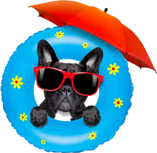 Deschutes Pet Lodge logo