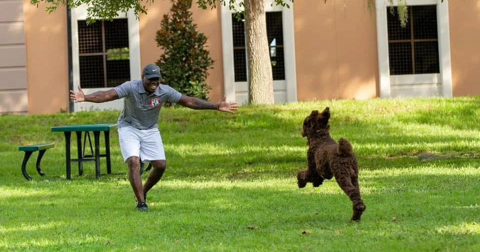 All Around K9 Academy — dog trainer in Orlando, FL