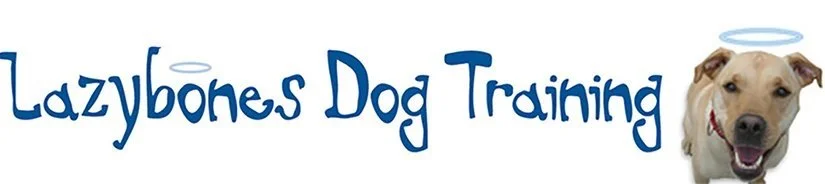 Lazybones Dog Training, LLC