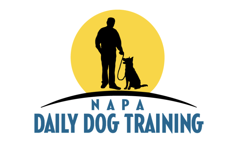 Napa Daily Dog Training