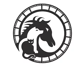 Acting Like Animals LLC — dog trainer in Attleboro, MA