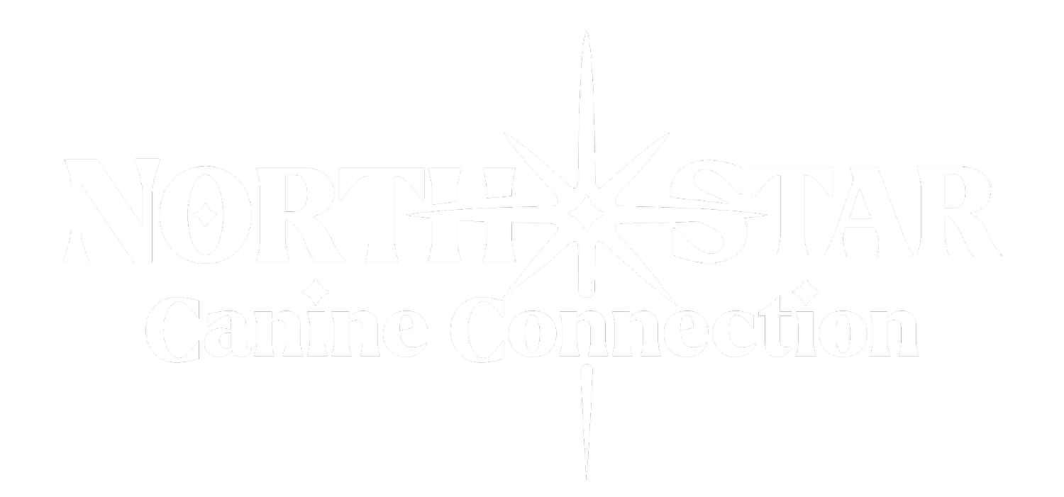 North Star Canine Connection logo