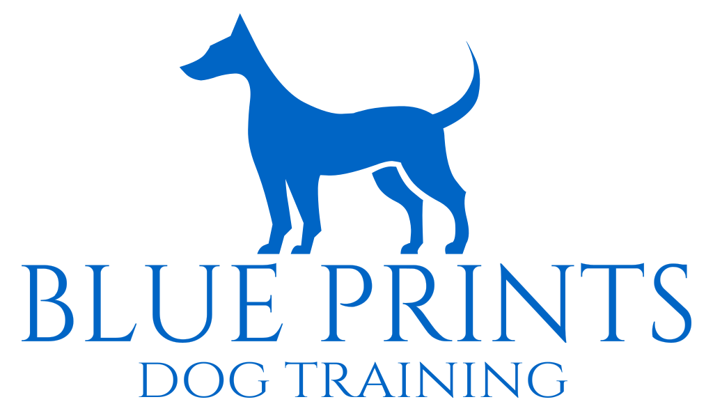 Blue Prints Dog Training