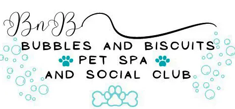 Bubbles and Biscuits Pet Spa and Social Club