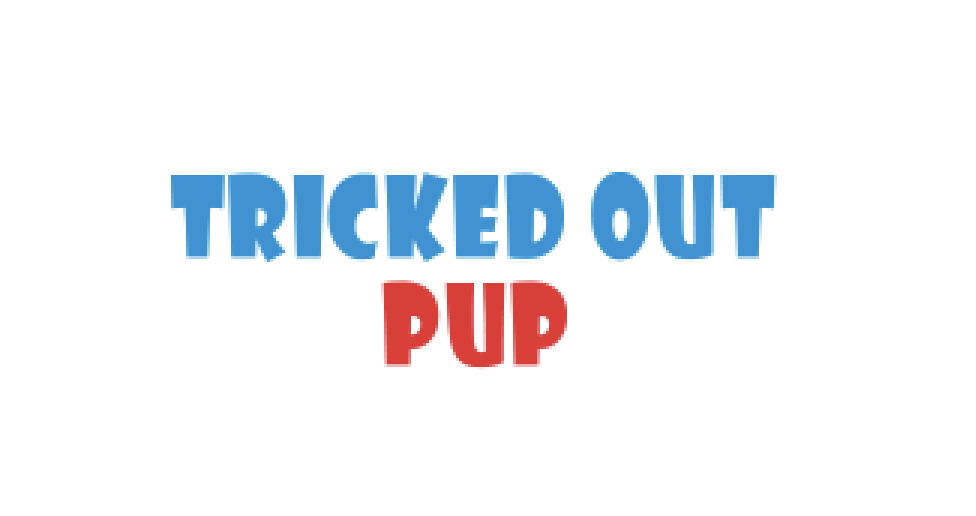 Tricked Out Pup — dog trainer in Boston, MA