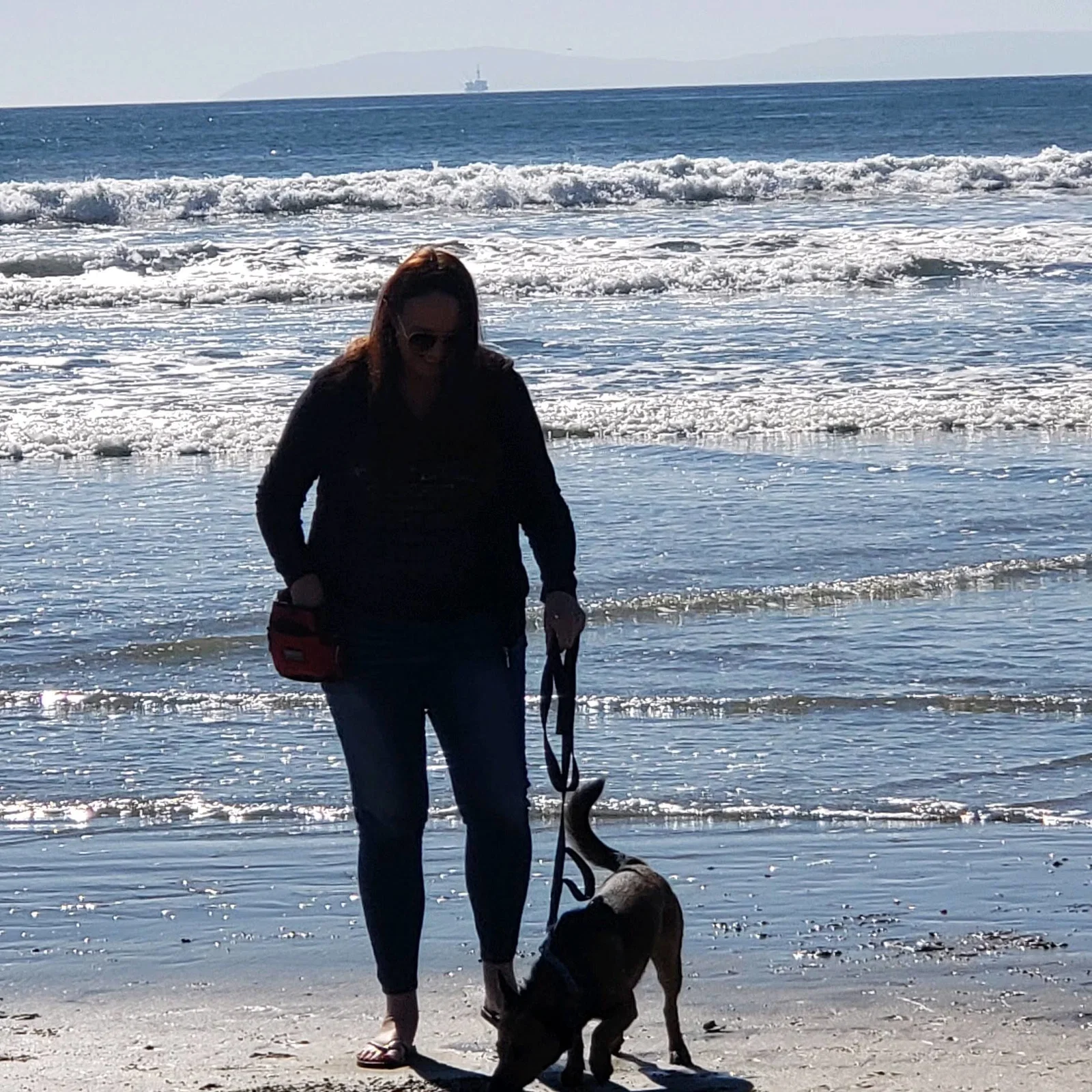 K-911 Behavior Modification and Training