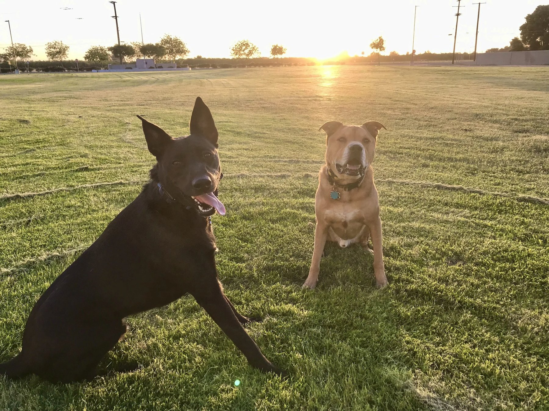 Gen1 K9 LLC