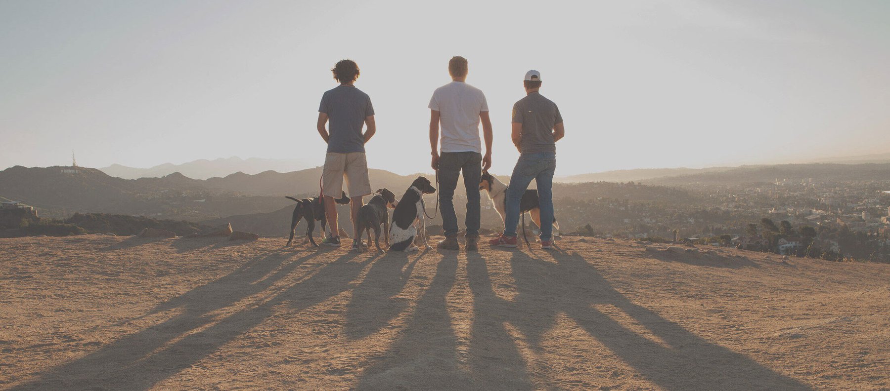 Way of the Dog