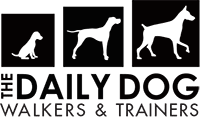 The Daily Dog logo