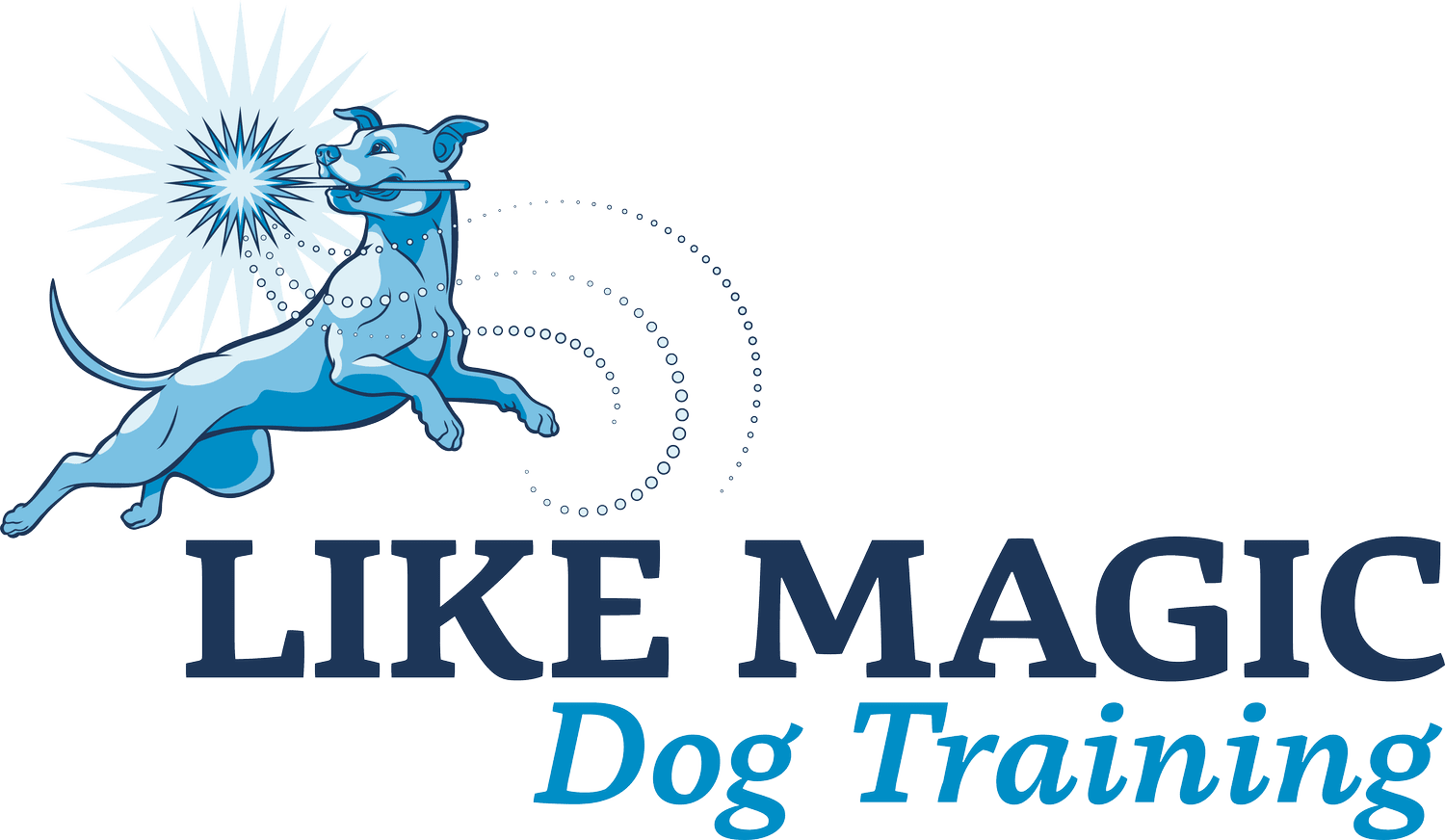Like Magic Dog Training — dog trainer in Columbia, MD