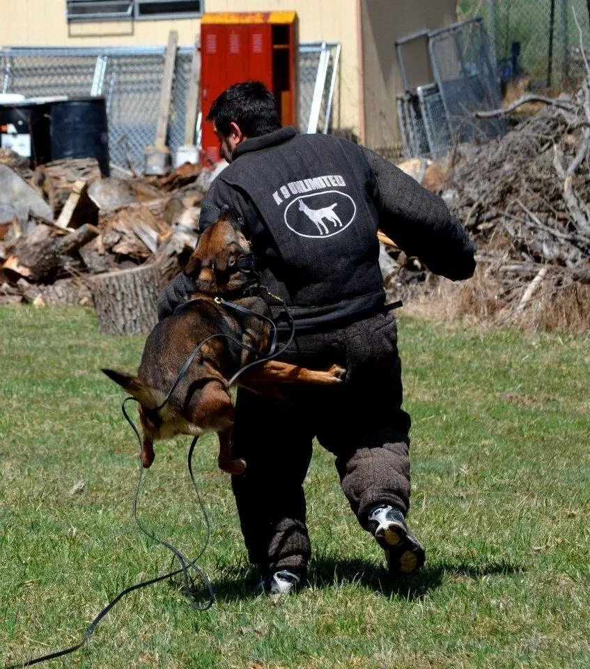 K9 Unlimited