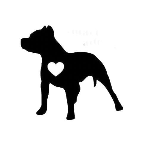 SMART PITS ACADEMY LLC