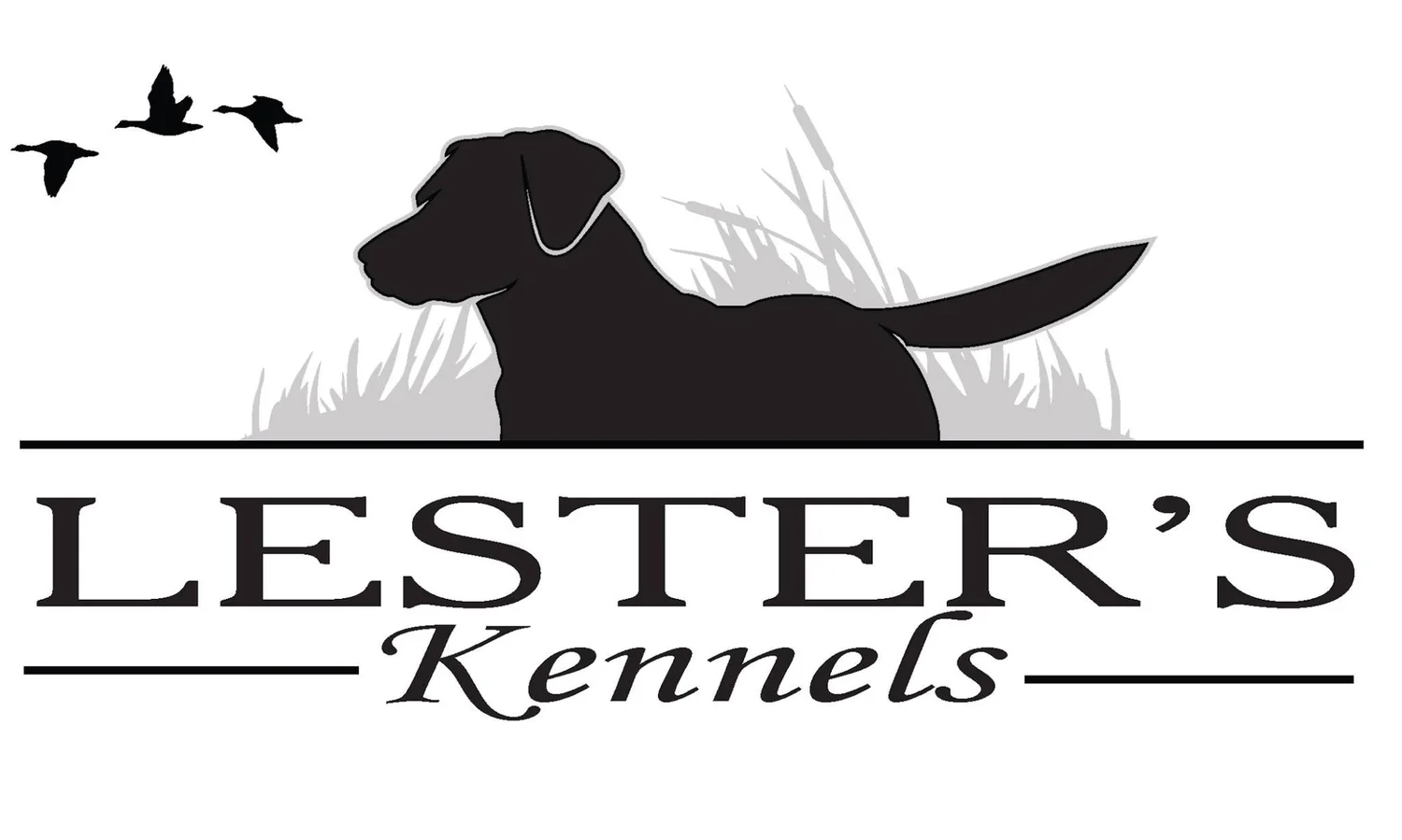 Lester's Kennels — dog trainer in Eau Claire, WI