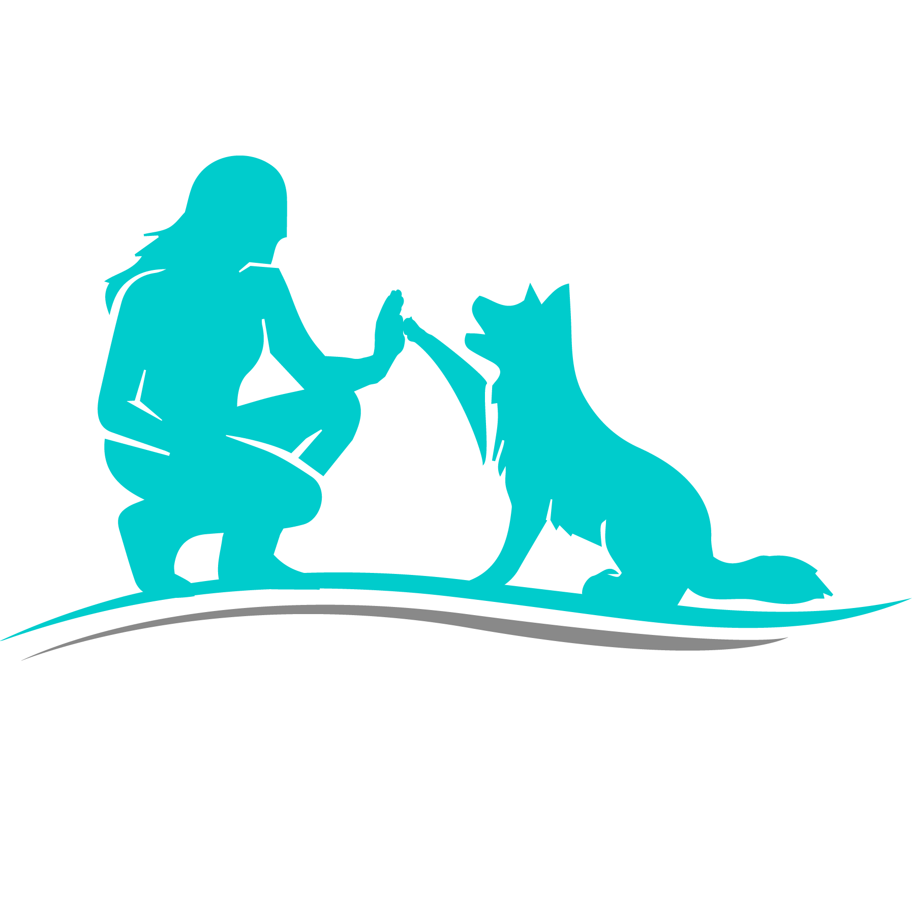 HighPaw Dog Training — dog trainer in Quincy, MA