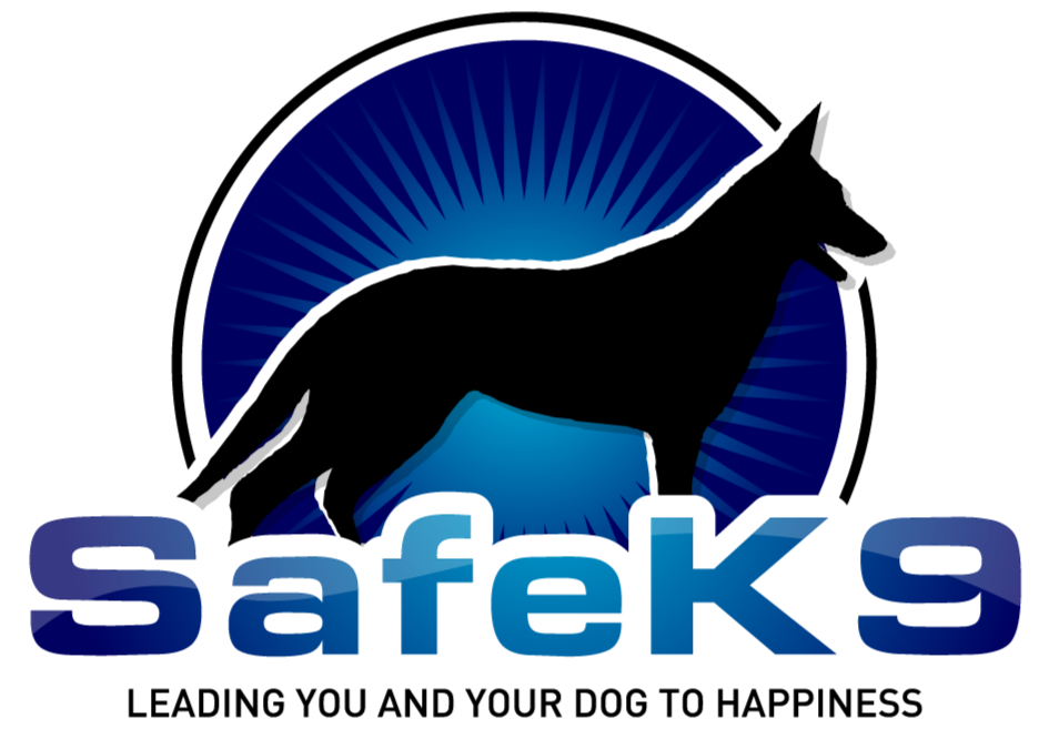 SafeK9 - Dog Training Tampa — dog trainer in Tampa, FL