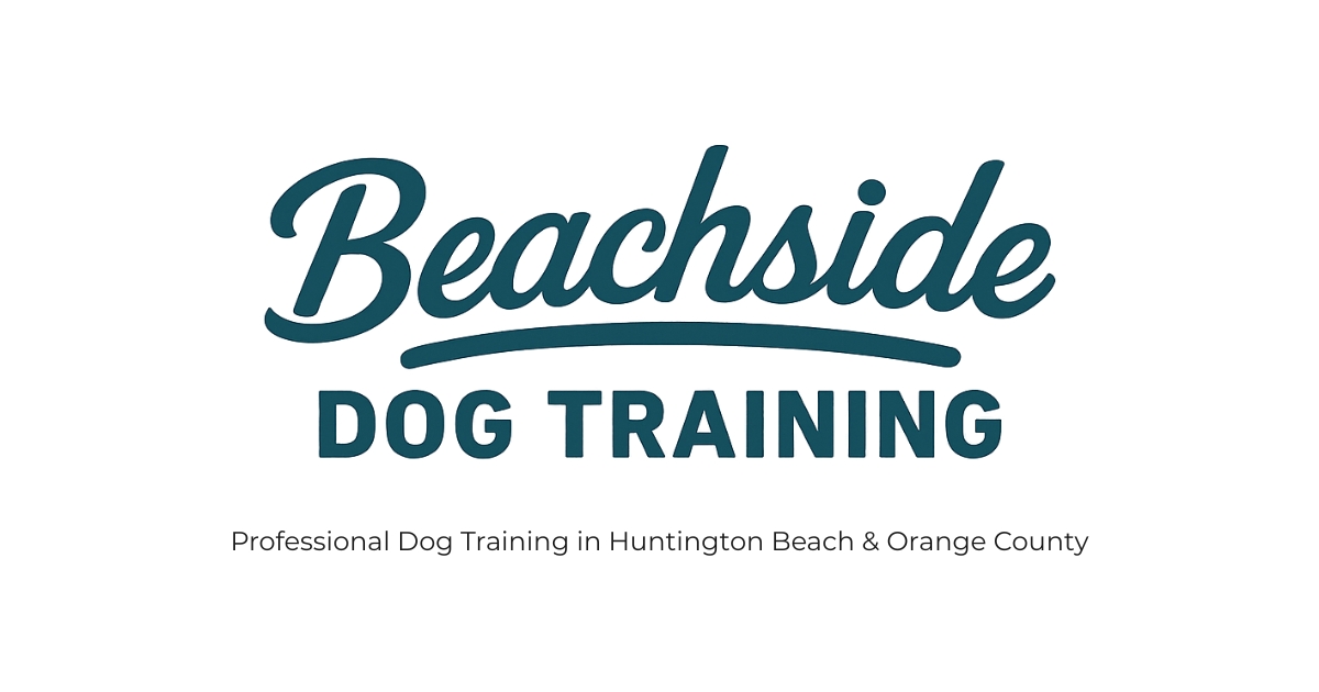 Beachside Dog Training