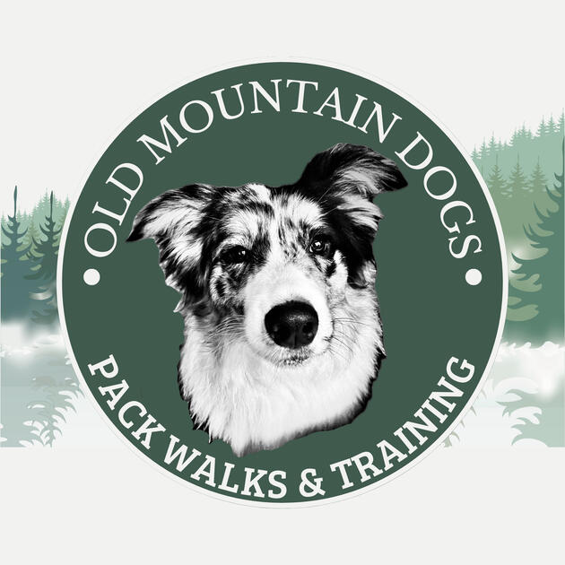Old Mountain Dogs