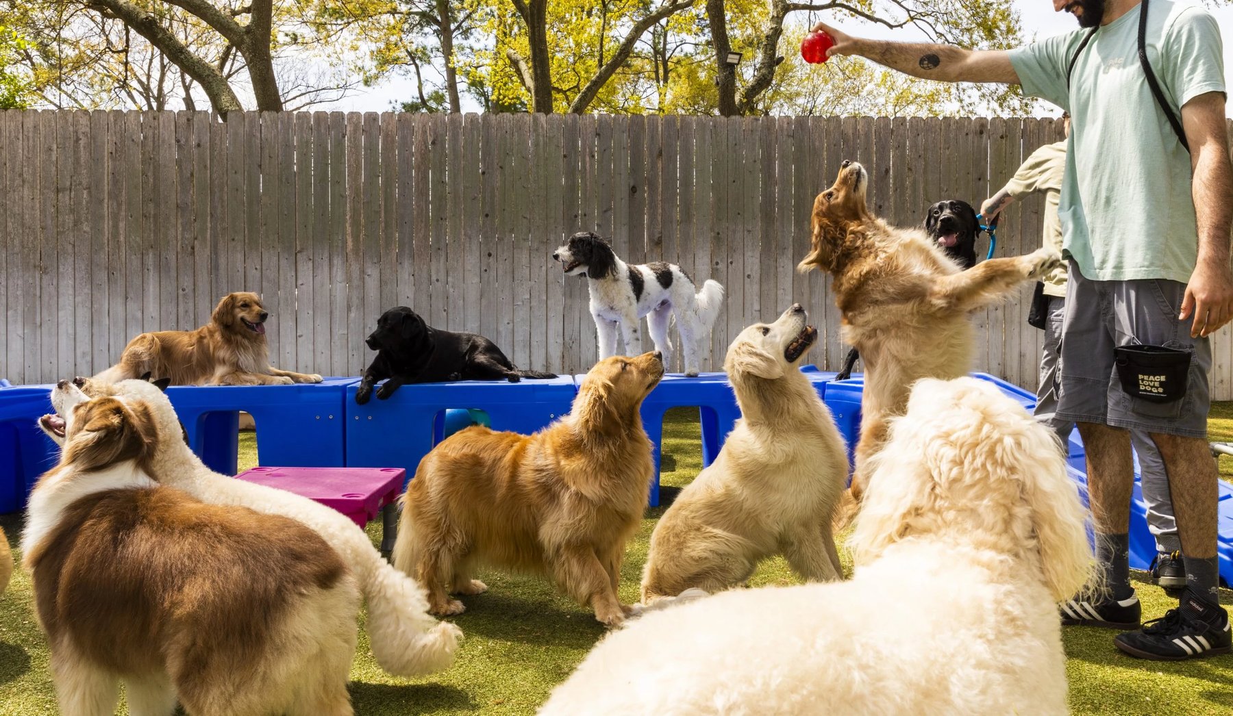 Peace Love Dogs