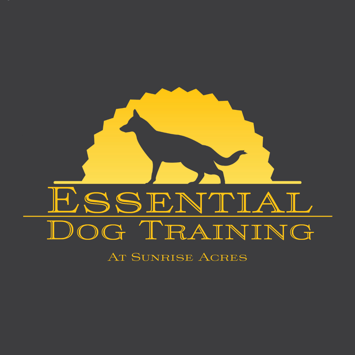 Essential Dog Training — dog trainer in Toms River, NJ