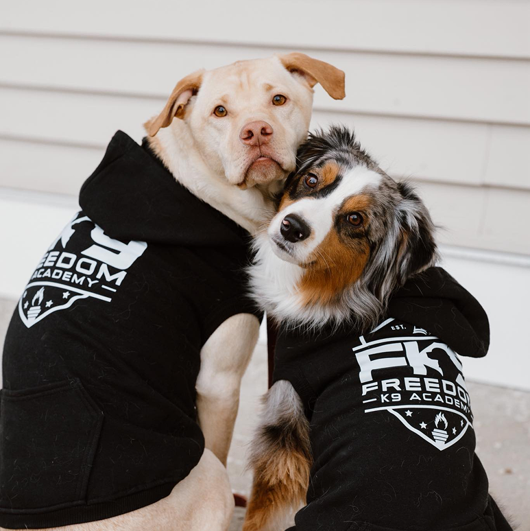 Freedom K9 Academy — dog trainer in Nashua, NH