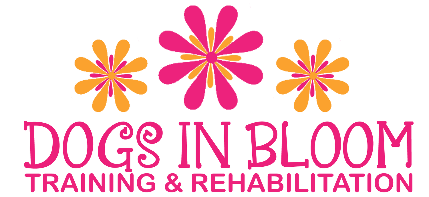 Dogs In Bloom – Dog Training, LLC logo