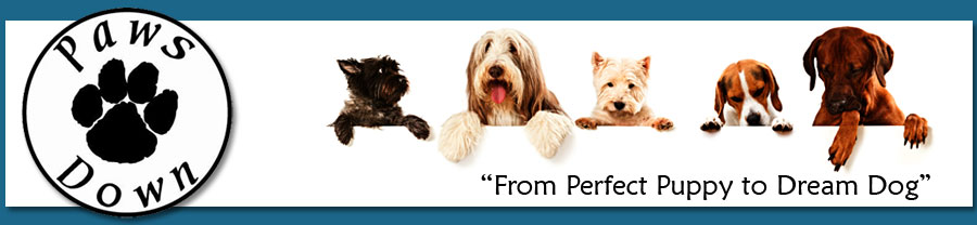 Paws Down Pets Dog Training logo