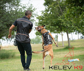 Kelev K9