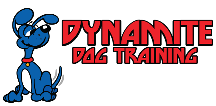Dynamite Dog Training logo