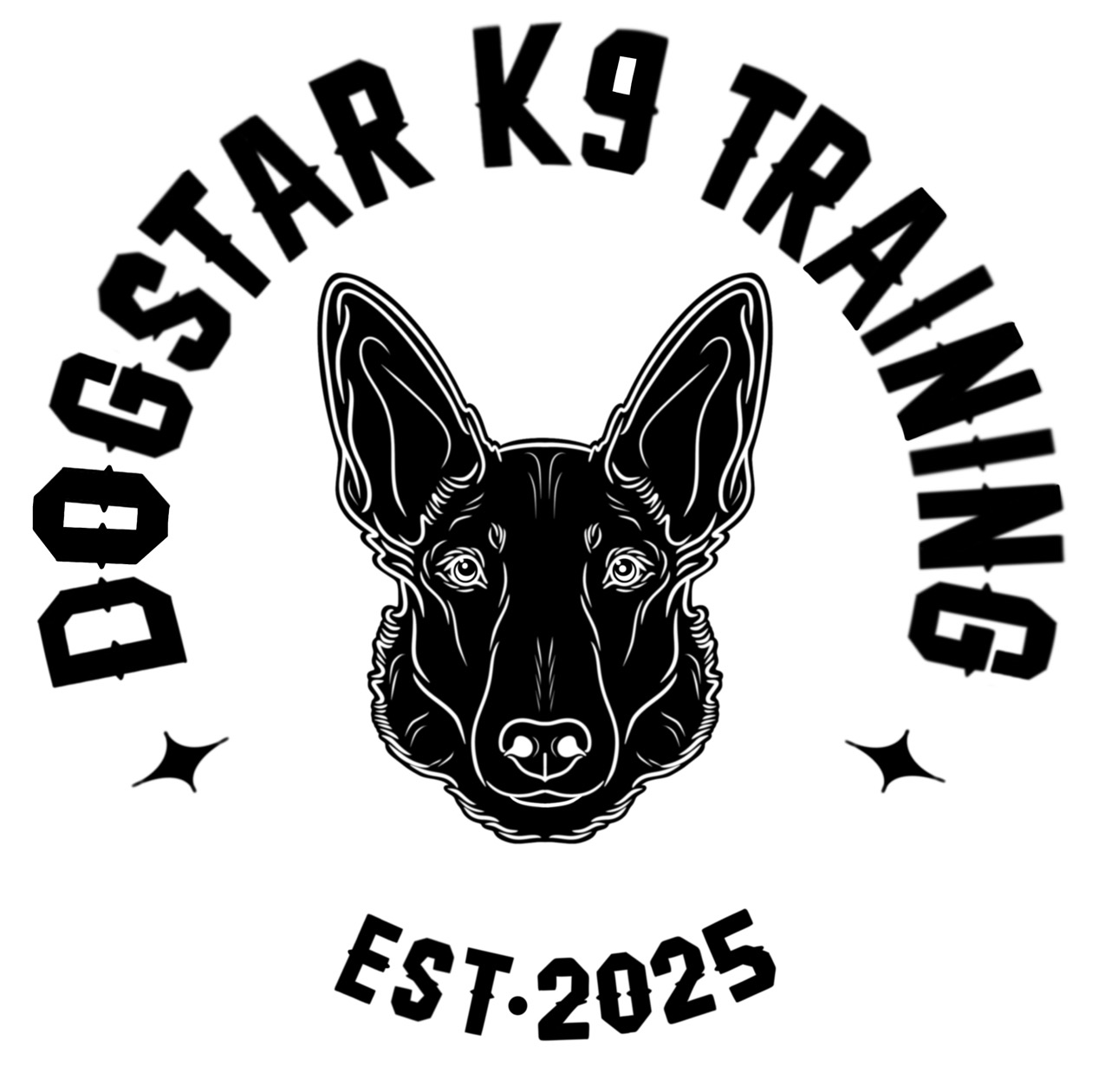 DogStar K9 Training