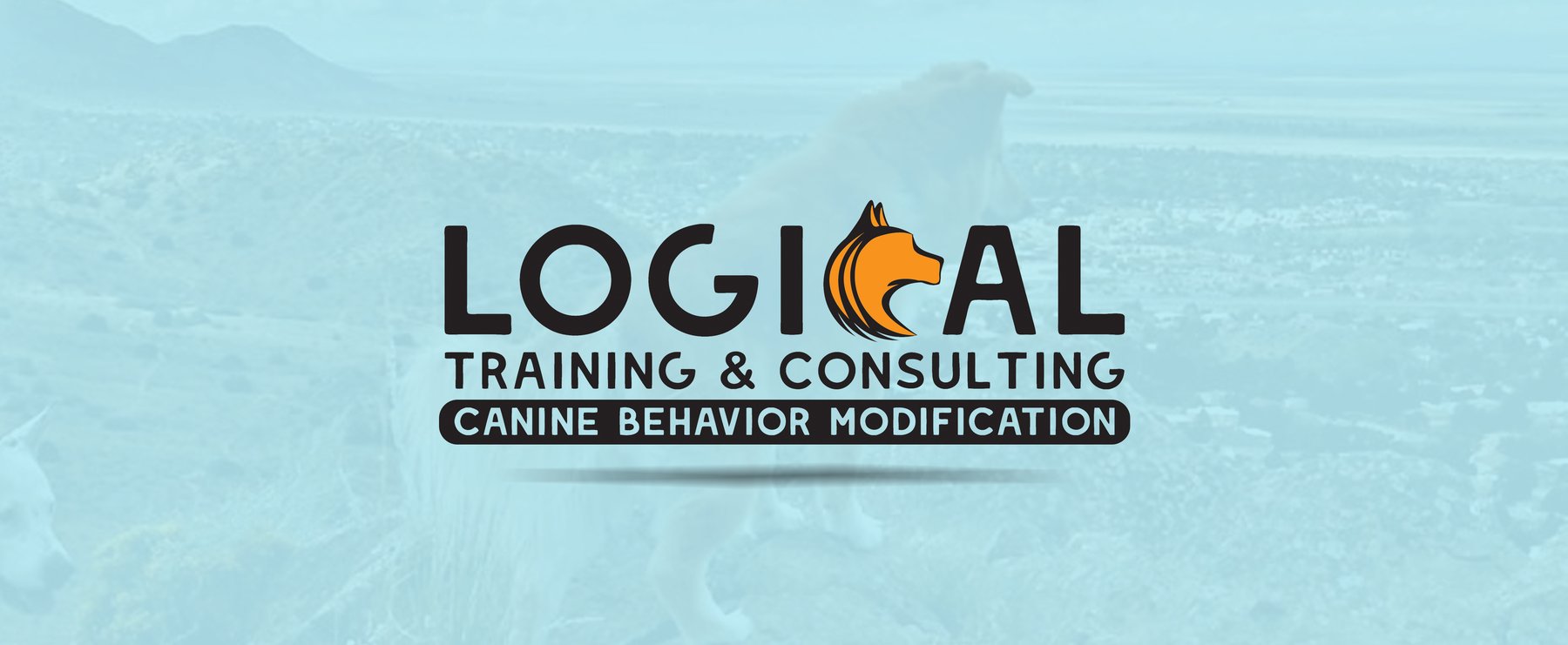 Logical Training & Consulting