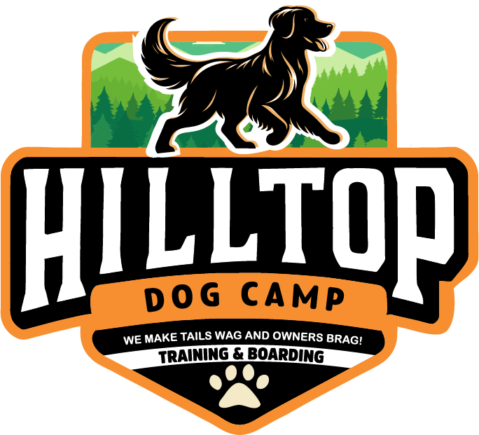 Hilltop Dog Camp — dog trainer in Bastrop, TX