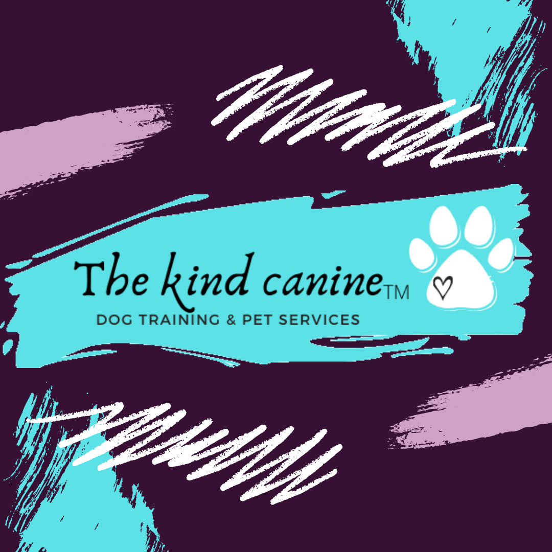 The Kind Canine Pet Services