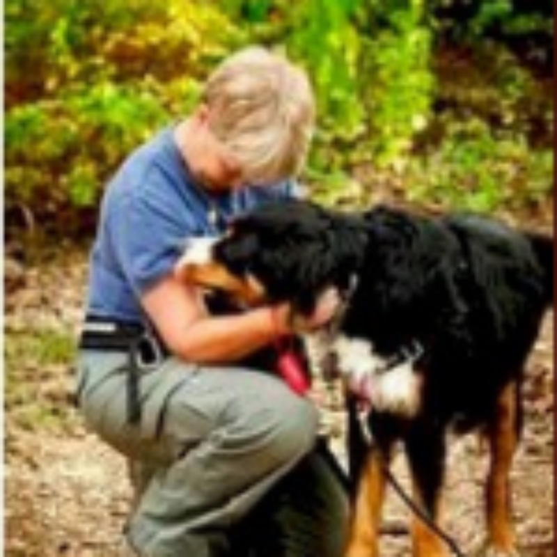 Lucky Leash LLC