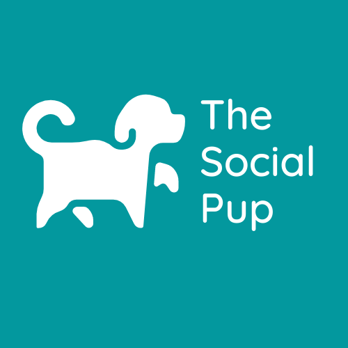 The Social Pup — dog trainer in Georgetown, TX