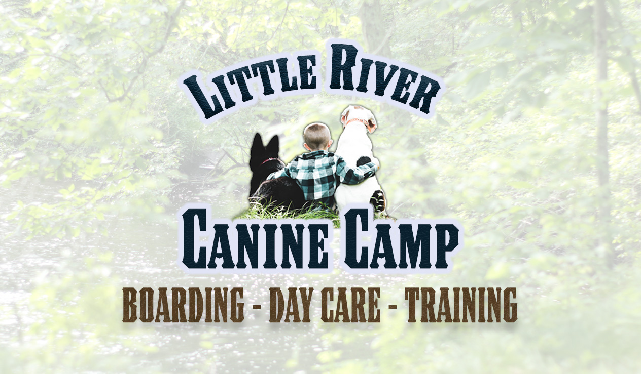 Little River Canine Camp LLC