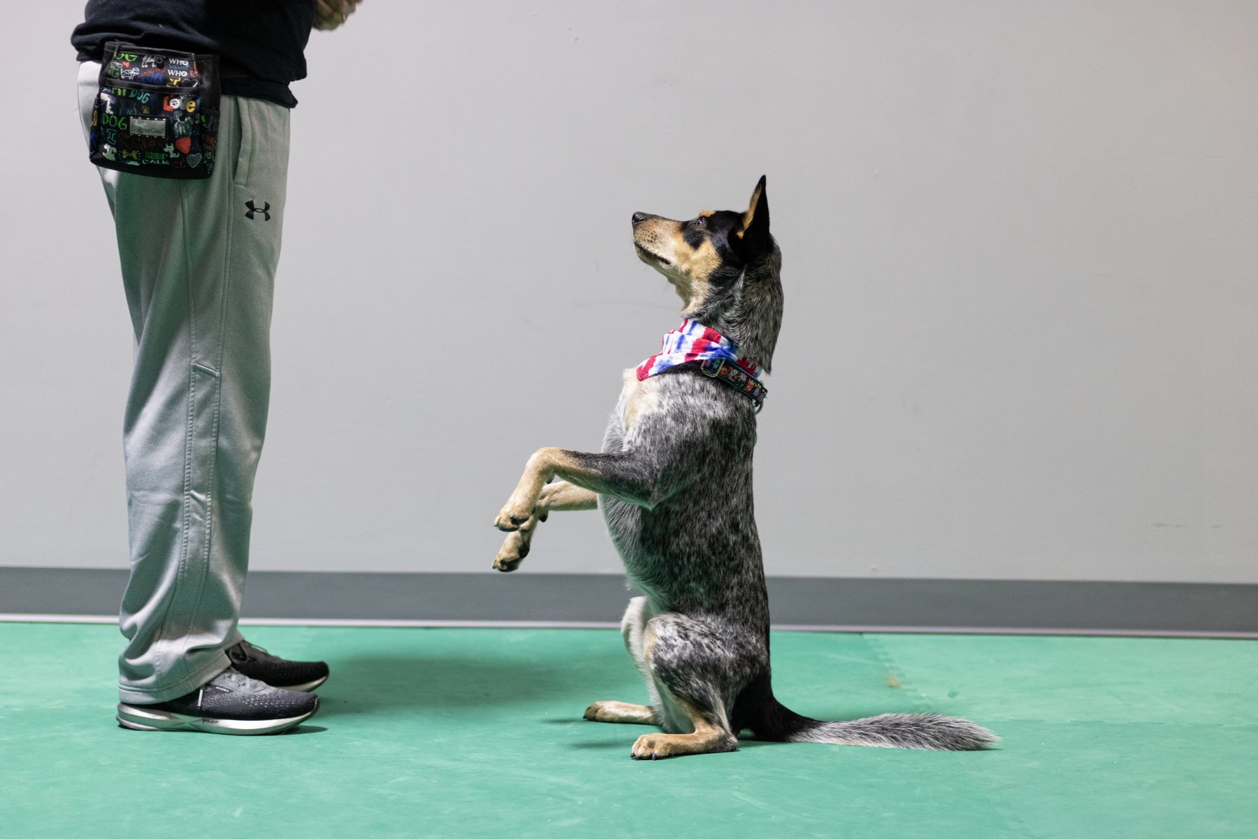 Lucky Dog Training Center