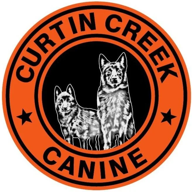 Curtin Creek Canine — dog trainer in Vancouver, WA